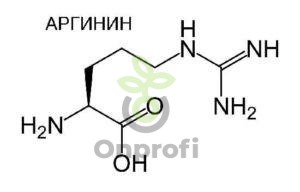 Аминокислота частично заменимая L-АЛЬФА  Аргинин , 50гр
