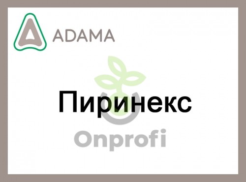 Онпрофи интернет. Онпрофи. Он профи.