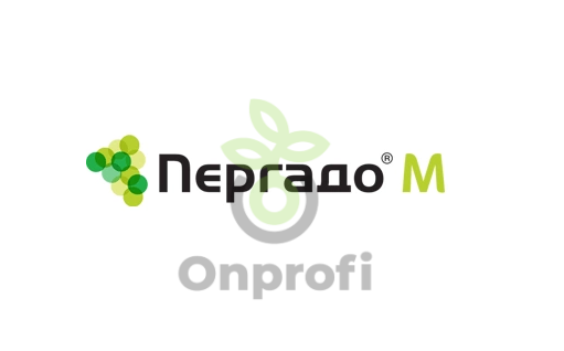 Онпрофи интернет